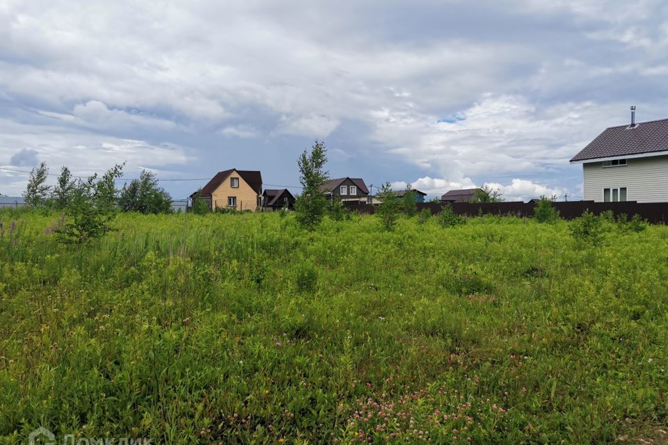 земля городской округ Кашира садовое товарищество Питеренка фото 1