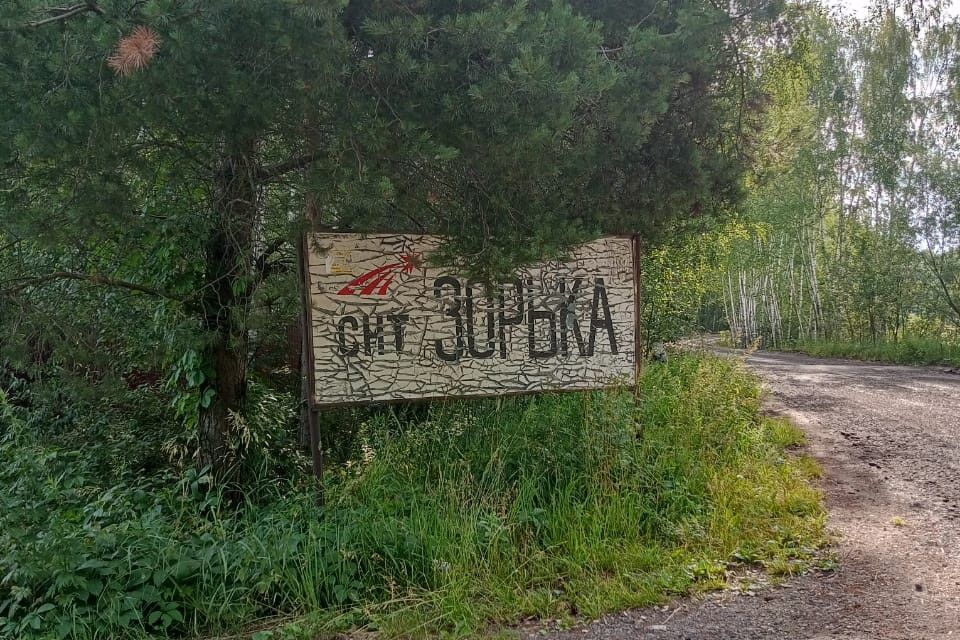 дом городской округ Богородский г Ногинск снт Зорька 36 фото 10