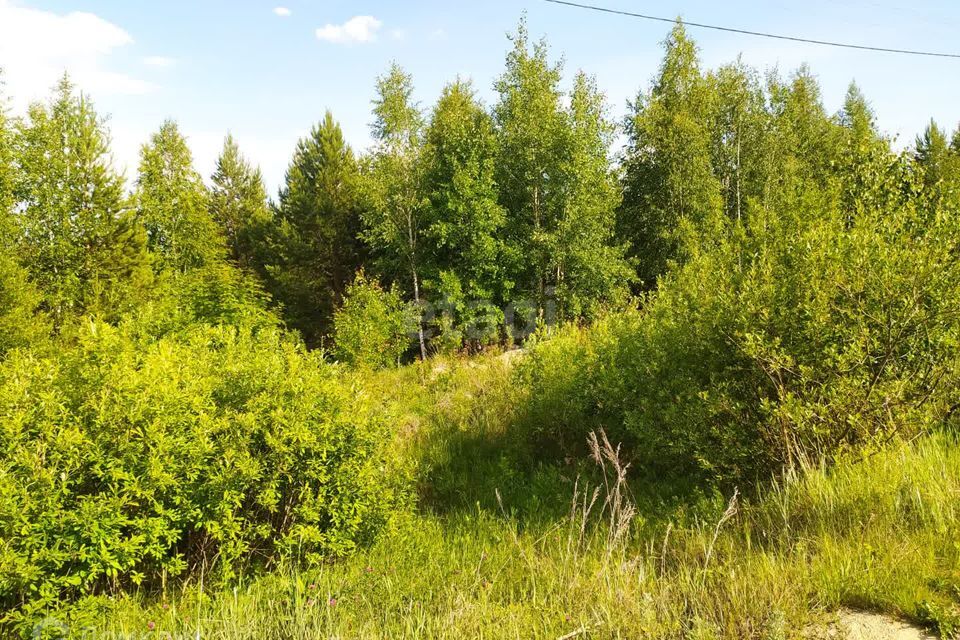 земля р-н Белоярский загородный комплекс Лайф, 4-я Парковая улица, 2 фото 3