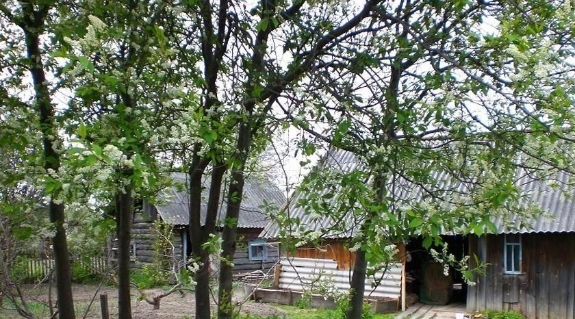 дом р-н Ярковский с Щетково пер Зеленый фото 2