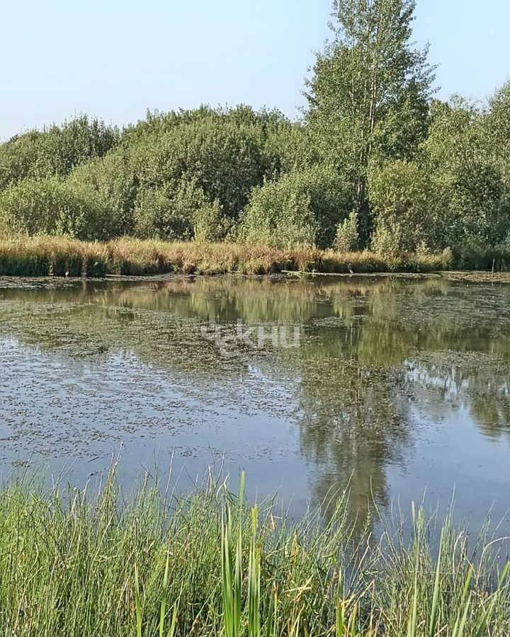 земля р-н Городецкий сельский пос. Аксентис, Балахна фото 11