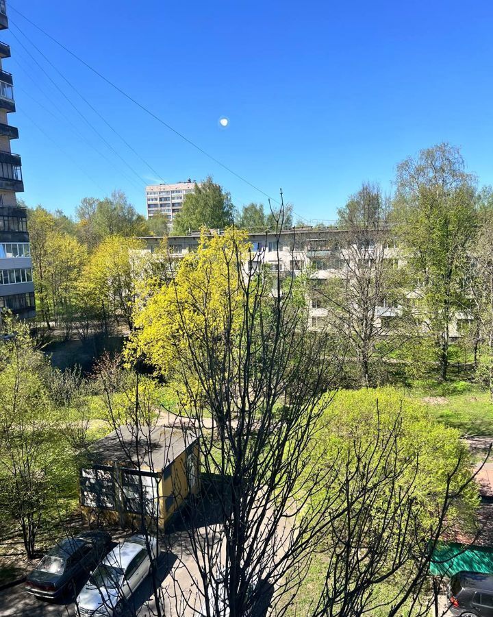 квартира г Санкт-Петербург метро Академическая р-н Пискарёвка пр-кт Пискарёвский 48к/1 фото 22