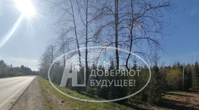 ул 50 лет Октября фото