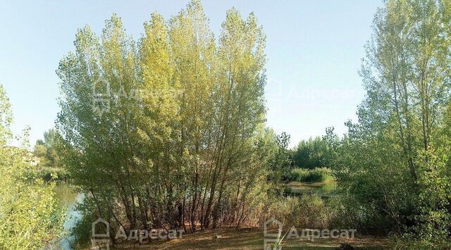 земля п Латошинка р-н Тракторозаводский фото