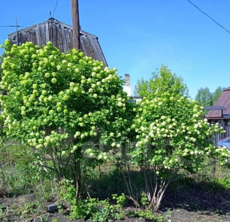 земля р-н Кемеровский снт Маручак Б сектор, аллея 11-я, 22 фото 5