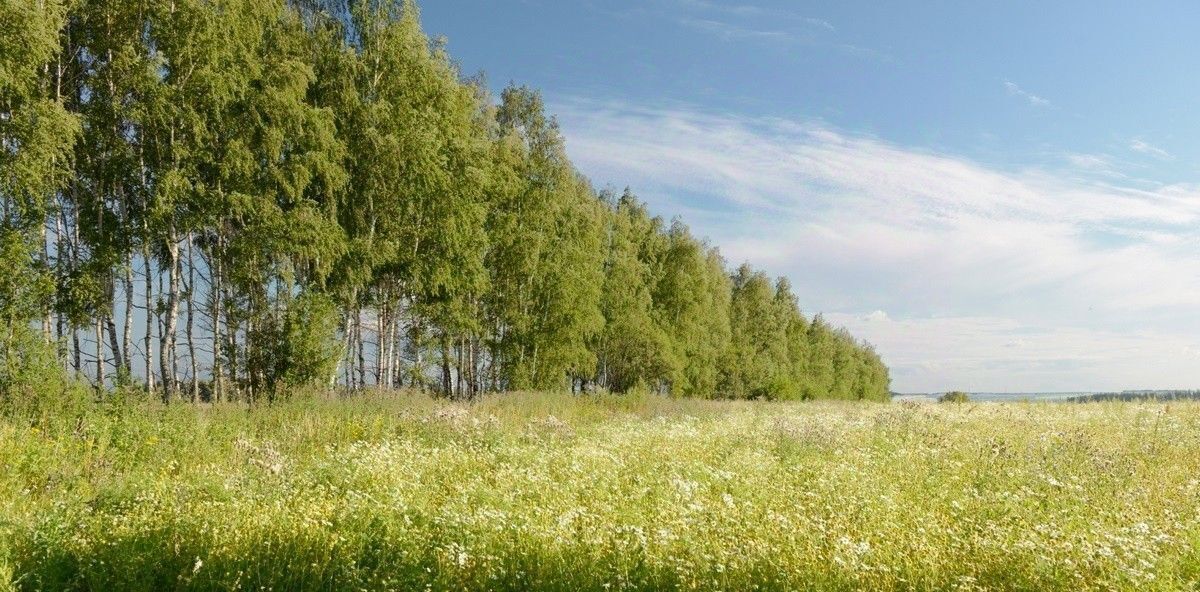 земля р-н Ясногорский Теляковское муниципальное образование, Зеленая миля кп фото 4