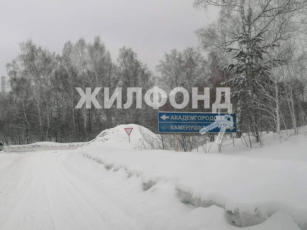 земля р-н Новосибирский с Барышево Ключи-3 садовое товарищество фото 5