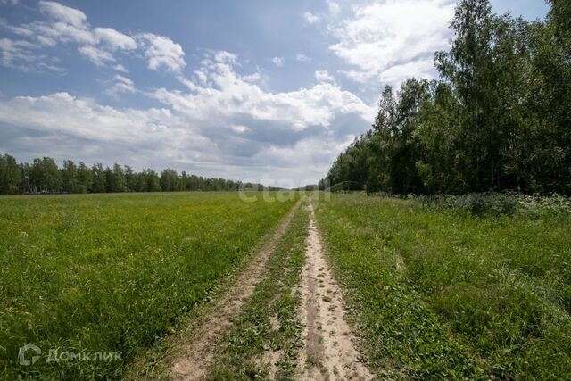 земля деревня Бугры фото