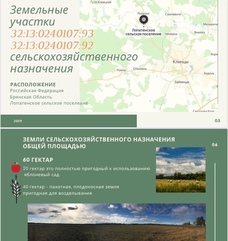 земля р-н Клинцовский с Лопатни Лопатенское сельское поселение, Клинцы фото 1