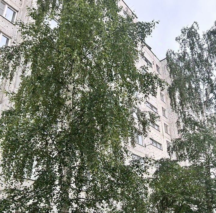 квартира г Электросталь Юго-Западный ул Журавлева 13к/1 фото 22