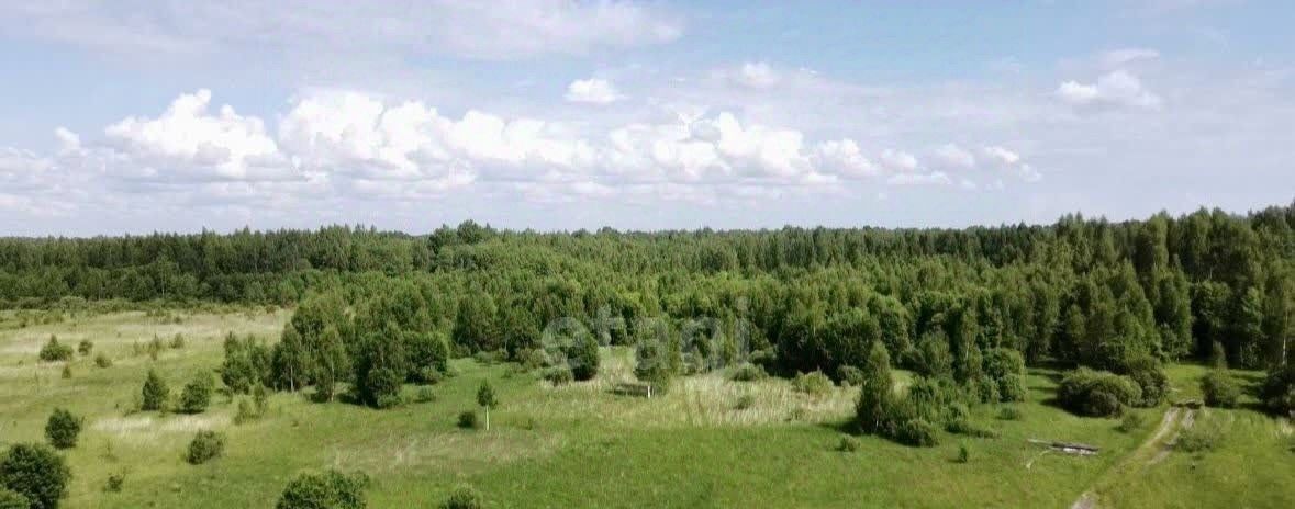 земля р-н Порховский д Сухлово Дубровенская волость фото 2