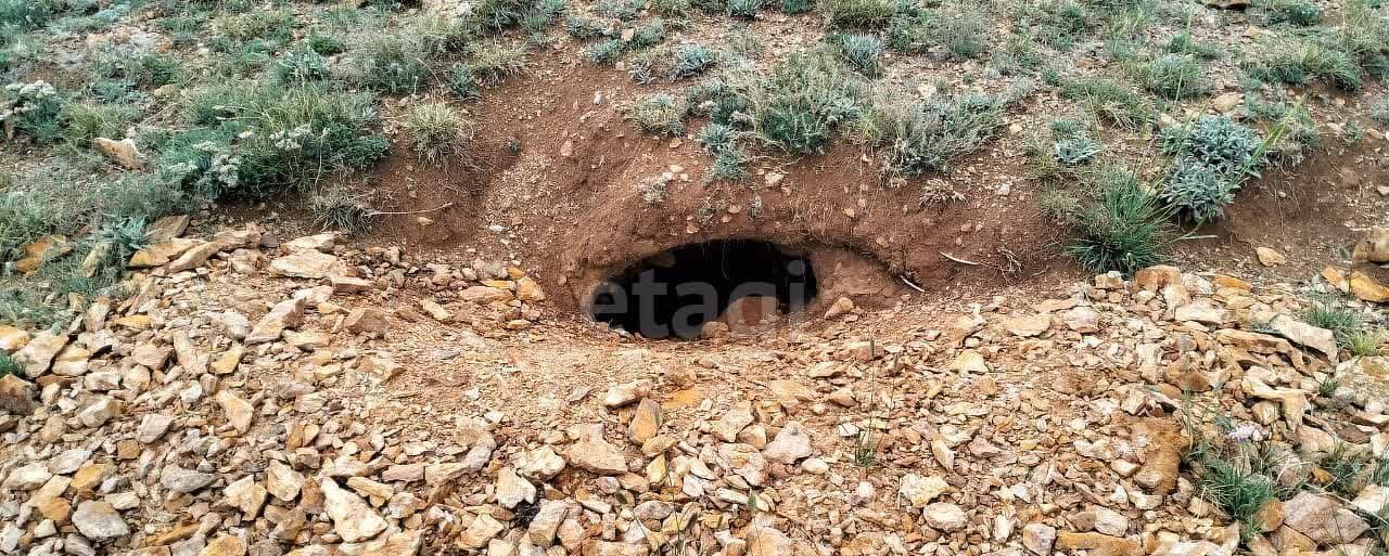 земля р-н Кош-Агачский с Теленгит-Сортогой Кош-Агач фото 11