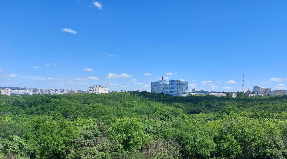 квартира г Белгород Западный ул Губкина 54 Западный округ фото 7