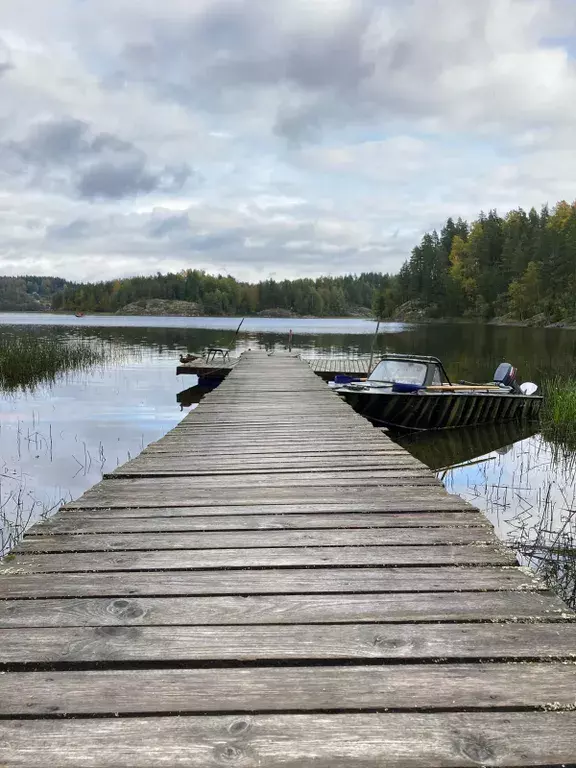 дом р-н Лахденпохский п Коконниэми территория, б/н, Лахденпохья фото 23