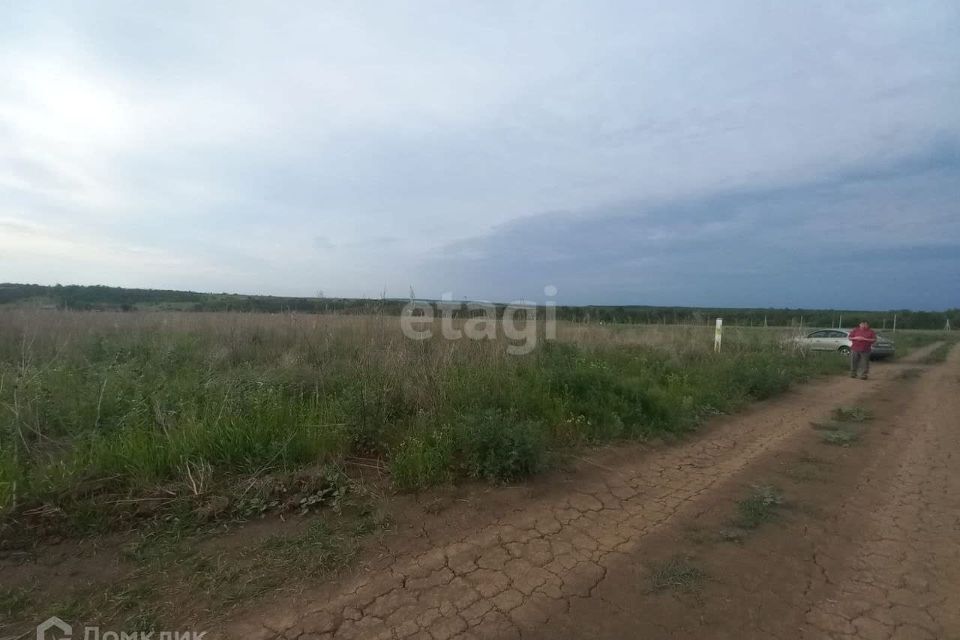 земля р-н Белгородский с Крутой Лог ул Ягодная фото 4