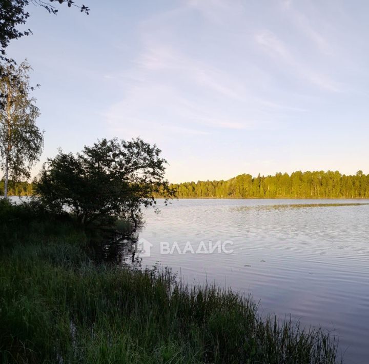 дом р-н Пряжинский д Савиново Ведлозерское с/пос фото 31