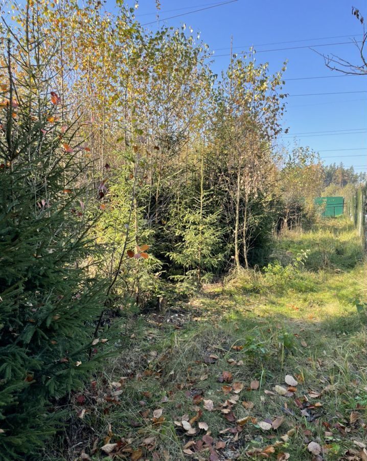 земля городской округ Богородский г Ногинск снт Елочка 18 фото 4
