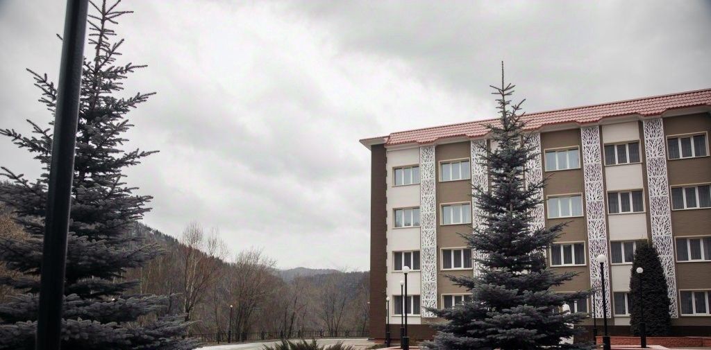 комната г Саяногорск п Черемушки 63 фото 6
