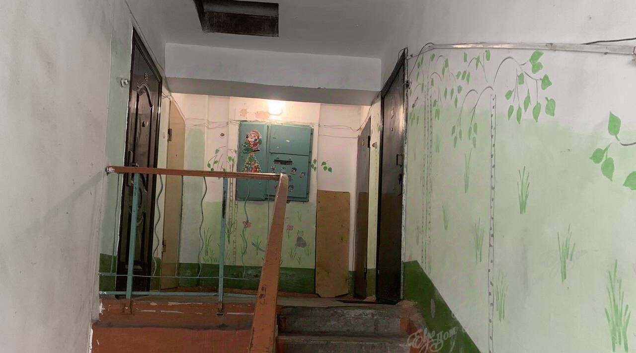 квартира г Биробиджан Биробиджан 2 ул Юбилейная 1 фото 10