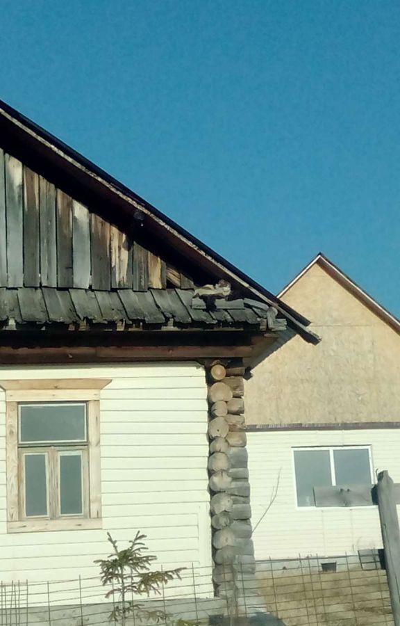 земля г Миасс п Октябрьский ул Чегресовская 9а фото 18