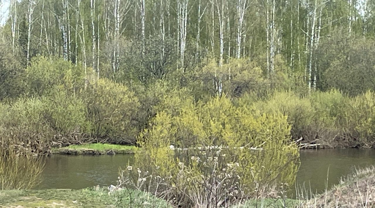 земля р-н Шалинский д Курья Староуткинск городской округ фото 1