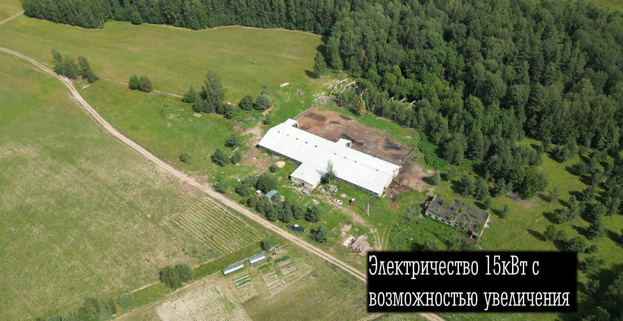 земля р-н Костромской Кузнецовское сельское поселение, Никольское фото 6