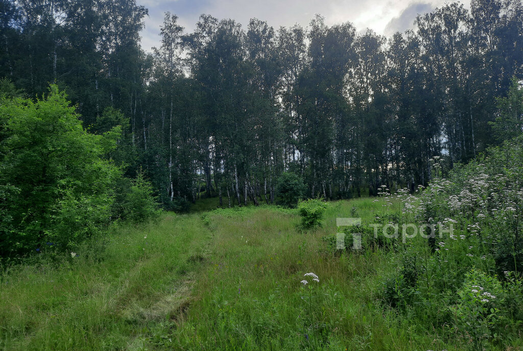 земля р-н Сосновский с Долгодеревенское сад Лада фото 13