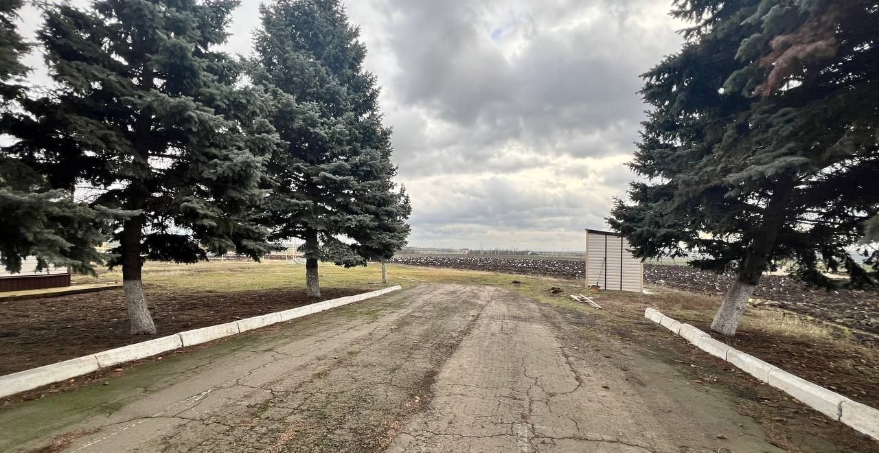 производственные, складские р-н Куйбышевский с Куйбышево ул Театральная 101 Куйбышевское сельское поселение фото 24