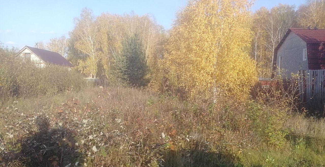 земля р-н Сосновский с Долгодеревенское сад Лада фото 4