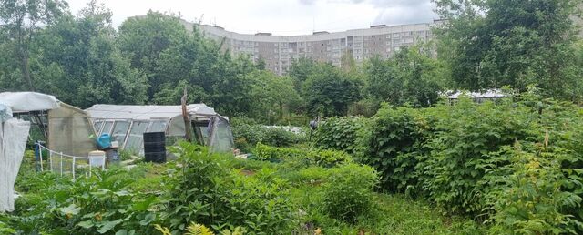 снт Тепличный фото