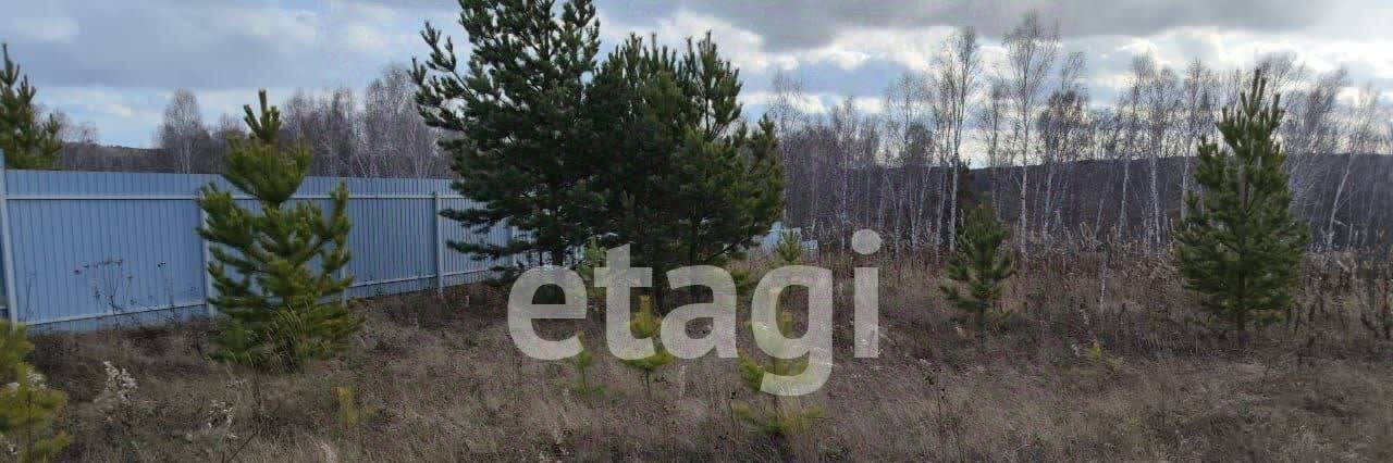земля г Красноярск р-н Свердловский ул Радужная фото 5