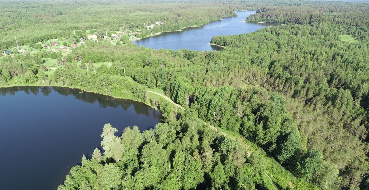 земля р-н Валдайский д Рядчино Едровское сельское поселение, Тверская область, Озерный фото 1