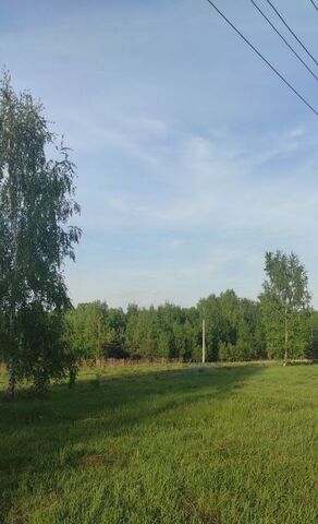 д. Мозгулино фото