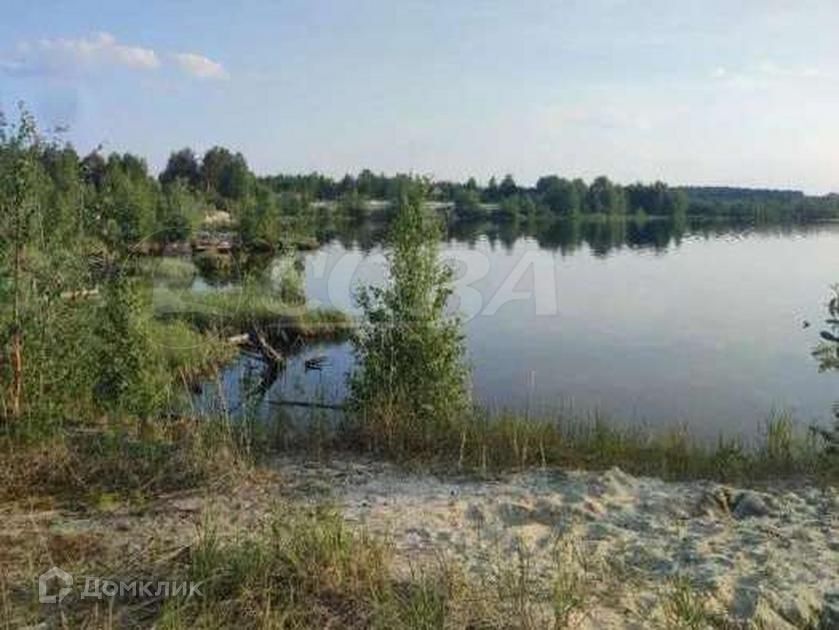 земля р-н Сургутский межселенные территории Сургутского муниципального района фото 3