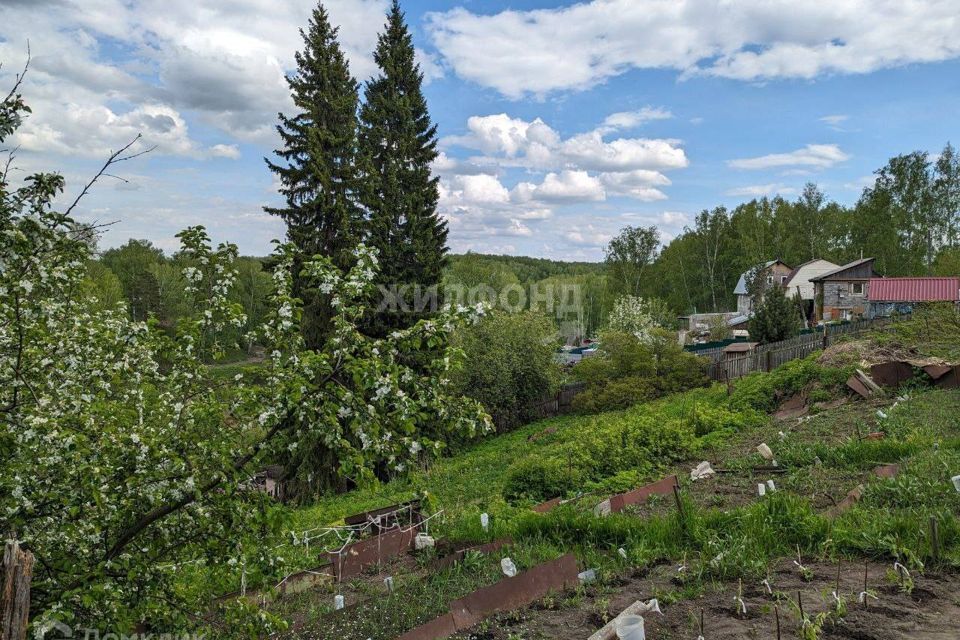 дом р-н Новосибирский садоводческое товарищество Медик фото 6