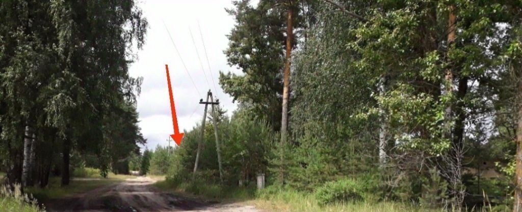 земля г Бор ул Ленина пос. Пионерский фото 6