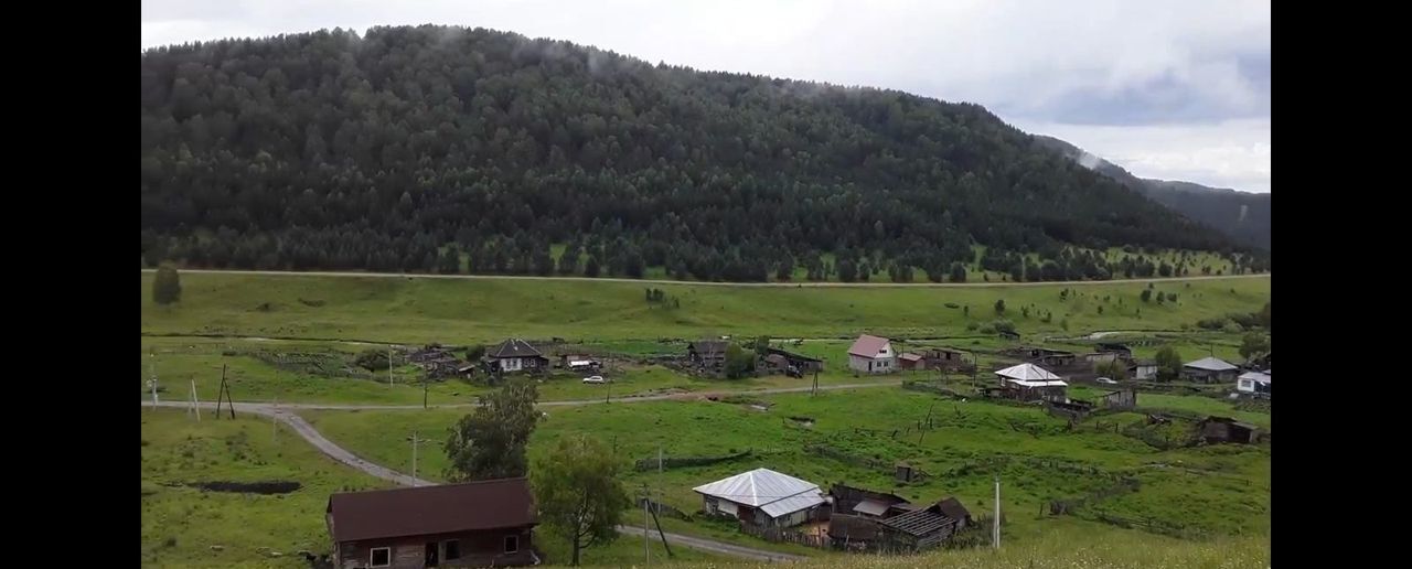 земля р-н Чойский с Никольское Горно-Алтайск фото 2