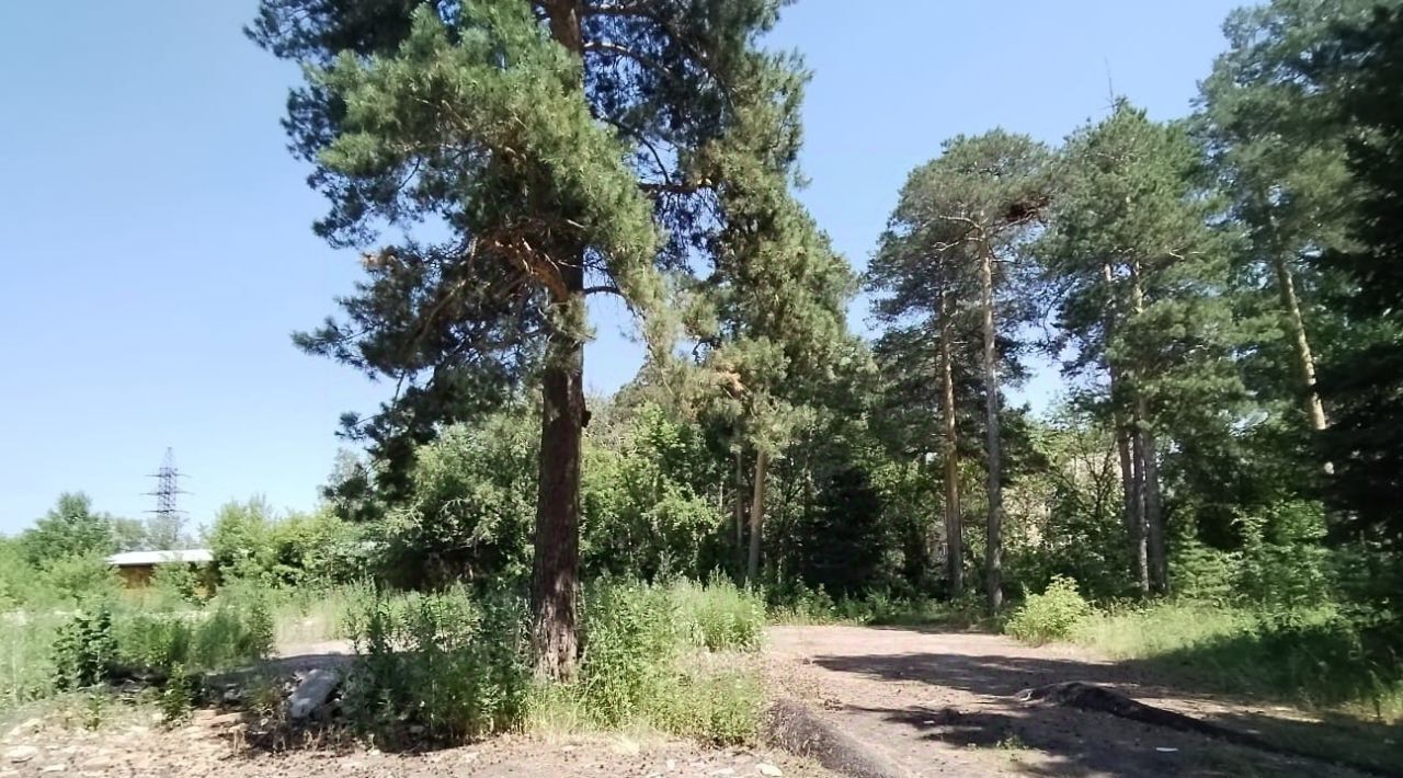 земля г Бийск фото 4