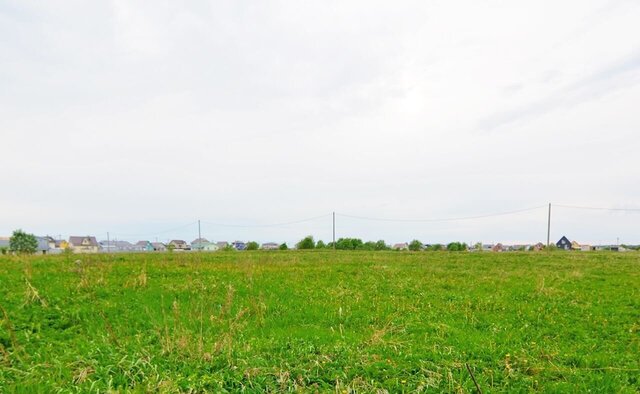 Оржицкое сельское поселение, коттеджный пос. Три ручья фото
