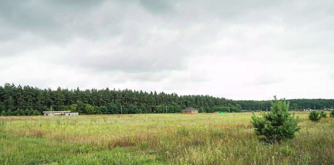 земля р-н Старооскольский с Каплино Рублево кп, 45, Старооскольский городской округ фото 1