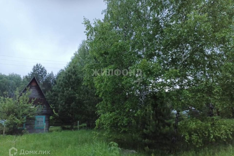 дом р-н Новосибирский садовое товарищество Ромашка-Иня фото 1
