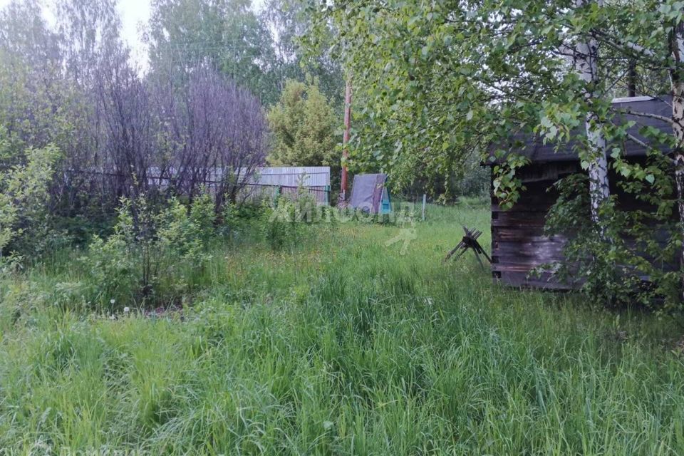 дом р-н Новосибирский садовое товарищество Ромашка-Иня фото 2