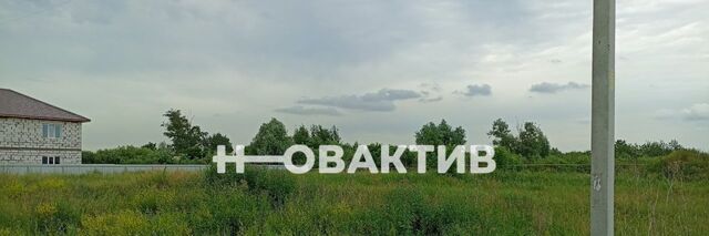 земля с Красноглинное ул Мира Толмачевский сельсовет фото