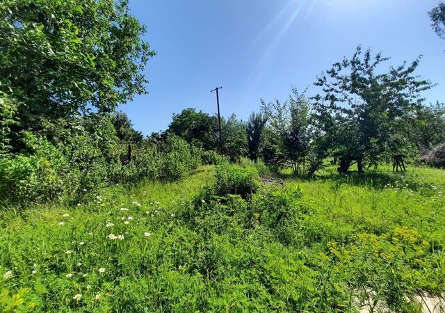 земля сад Весна Кутейниковское сельское поселение, Большие Салы фото
