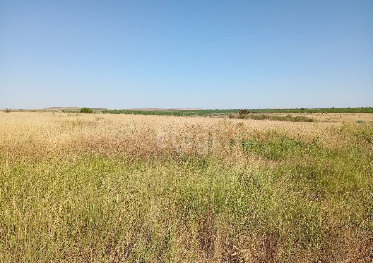 земля г Феодосия с Насыпное пер Виноградный фото 4