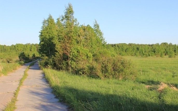 земля р-н Ломоносовский Низинское сельское поселение фото 1