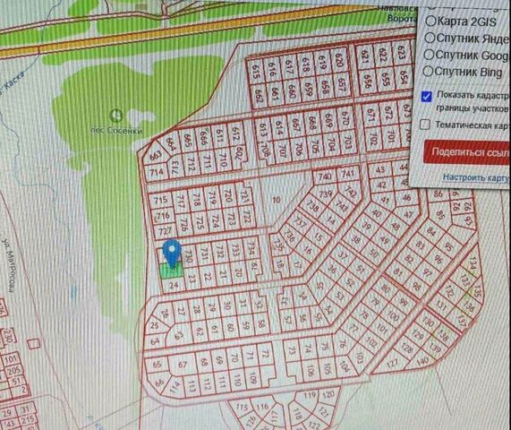 Восточный фото