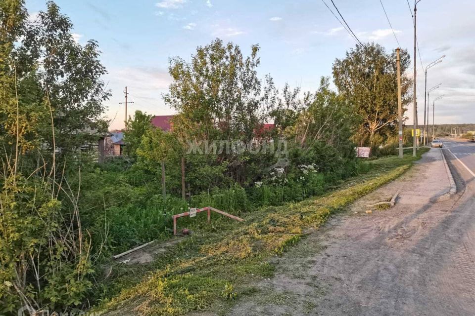 земля р-н Новосибирский с Плотниково ул Трактовая фото 2