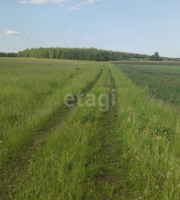 земля р-н Сысертский фото 7