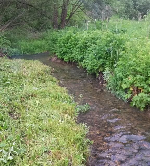 дом р-н Жуковский д Городенка 32 фото 9